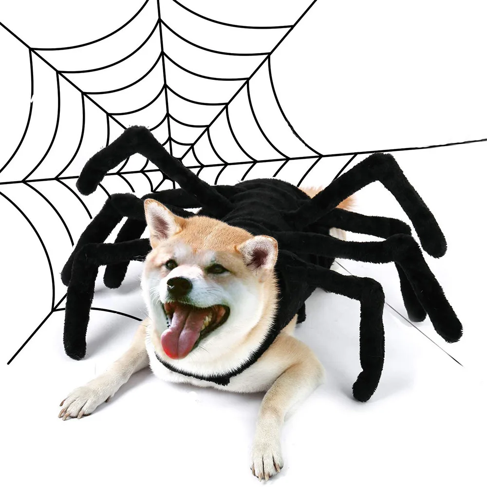 

Black Spider Helloween Cosplay Costume For Pet Dog Cat, As photos