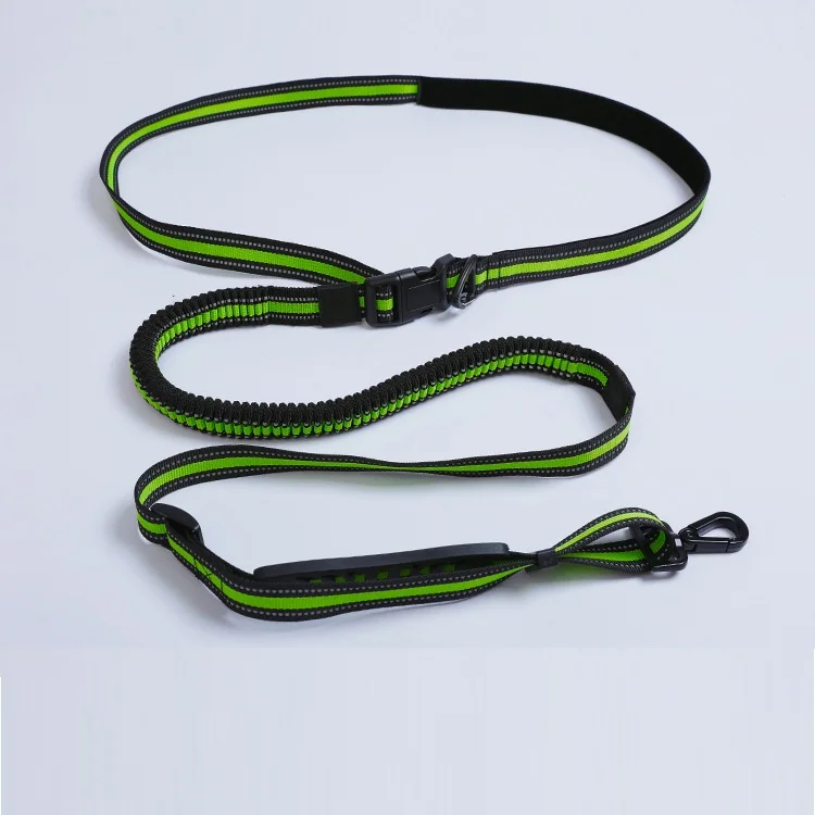 

Multi-functional Two Handle Dog Reflective Nylon Leash Dog Leashing Training Explosion Proof Dog Tape Leash, Blue, green