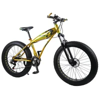 

cheap 24/26 inch 24/27 speed big wheel double disc brake bicycle snow beach mountain bike