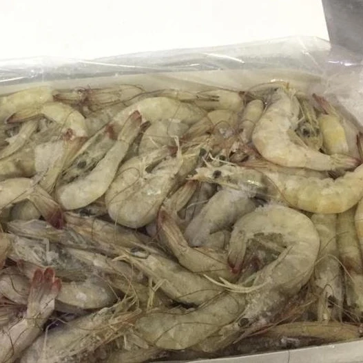 
Frozen shrimp 