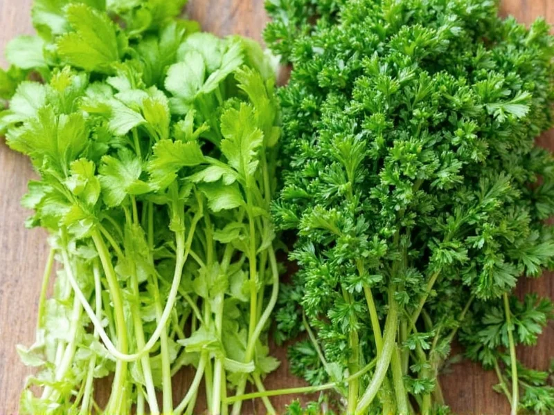 Cilantro Coriander vs Parsley: Clear Differences Explained