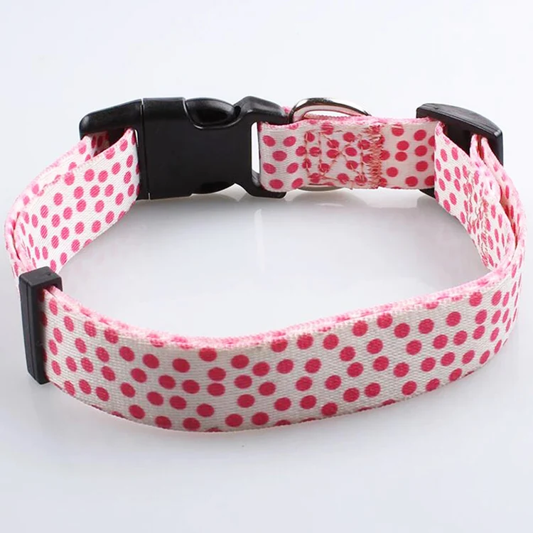 Pet Collar-45