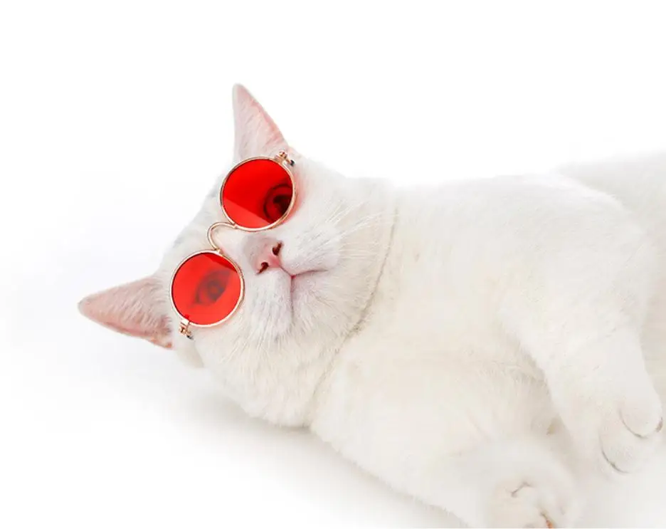 

Fashion Pet Accessories Dog And Cat Glasses Sunglasses, Customized color