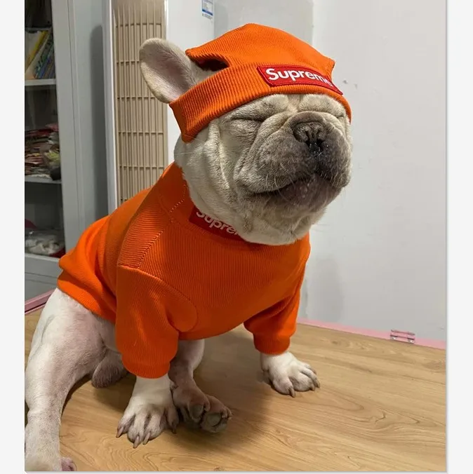 

Supre design brand winter fat dog pet clothing dog hoodie hat set, Patchwork