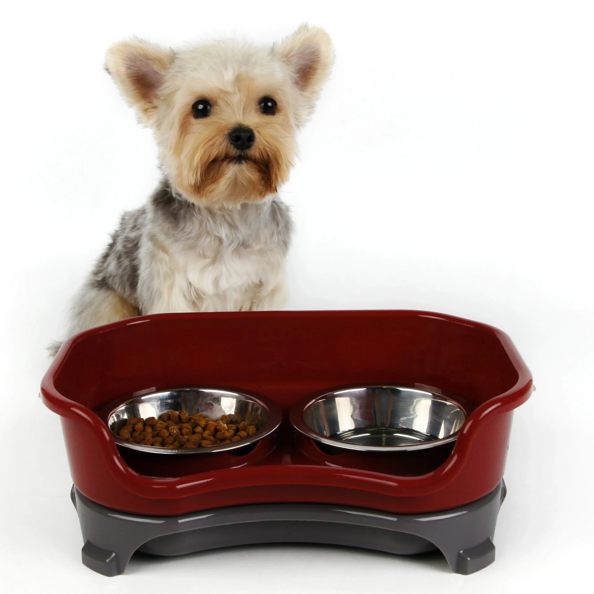 

Raised Dog Bowls Cat Food Water Bowls Stainless Steel Double Pet Feeder Dish Prevent Overturning for Medium Dogs Cats Puppies, Picture color