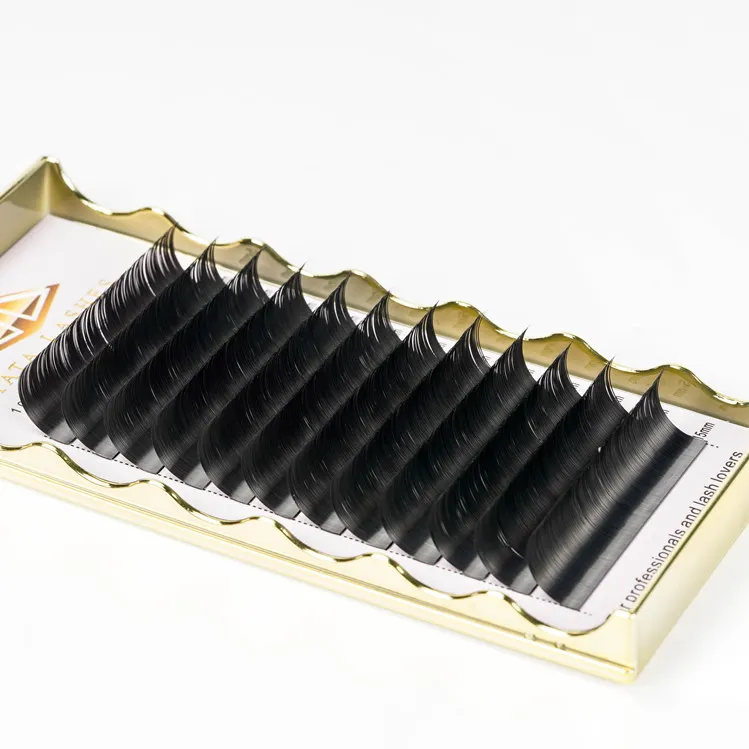 

Quick delivery double layer easy fanning lashes auto blooming private label eyelash extensions trays, Natural black