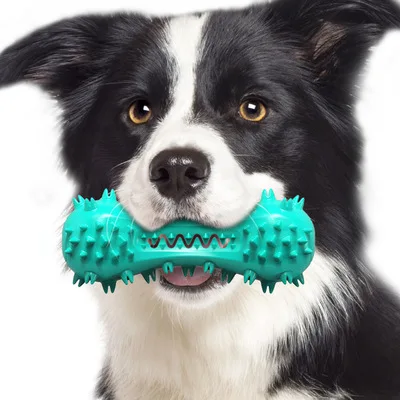 

2020 new type squeaky dog toys for dog chewing 3 colors durable dog toothbrush toy