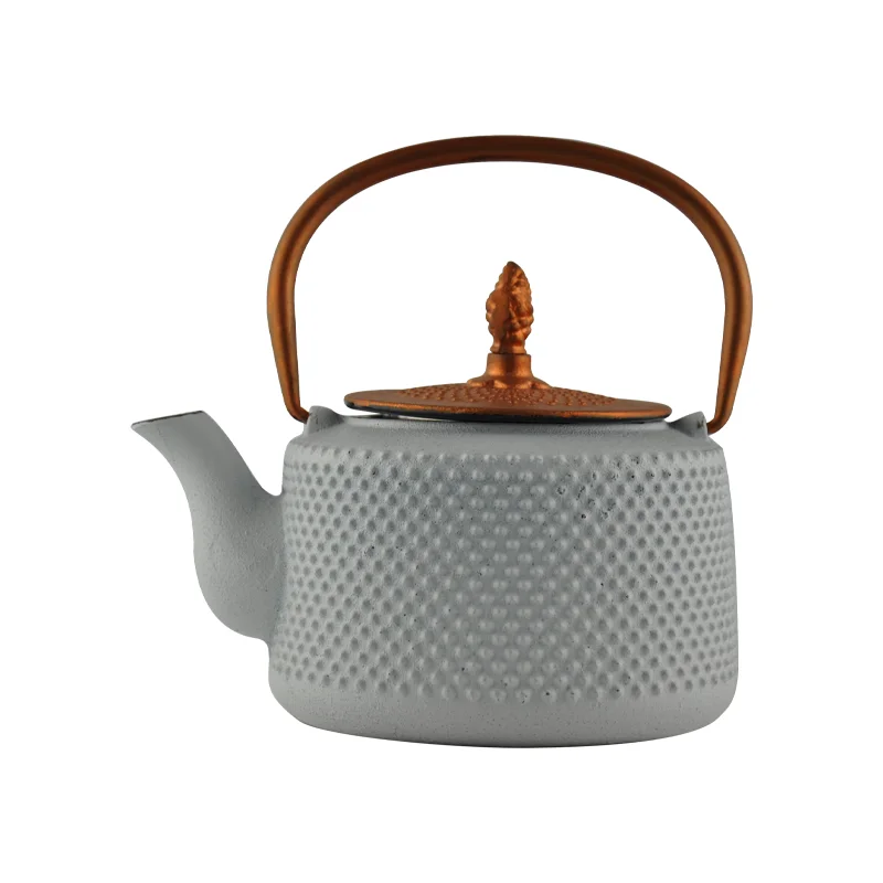 

Japanese Cast Iron Teapot with Enameled Interior 0.8L