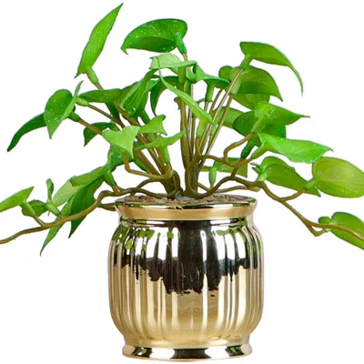 

Wholesale artificial potted plant small desktop home office decor gold pot artificial plant, As picture show