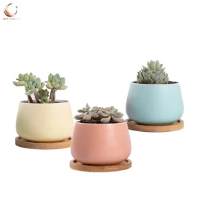 Image of New products Plants Flower pots cute Succulent pots ceramic