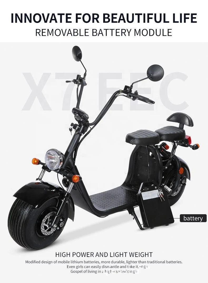 

Cool Design Mobility 60V 1000W Fat Wheel Citycoco E-Scooter