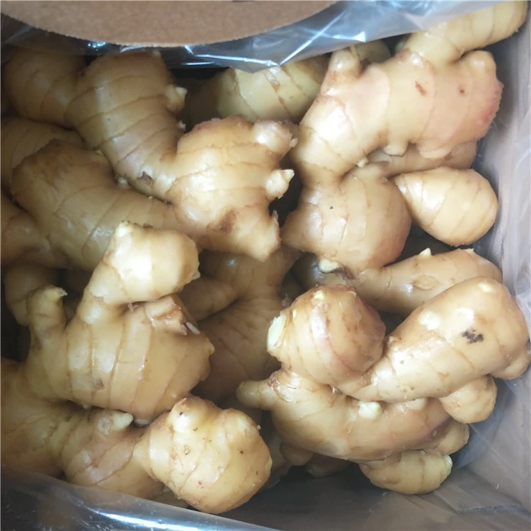 
Fresh gingger 2020 China gingger export from professional factory 