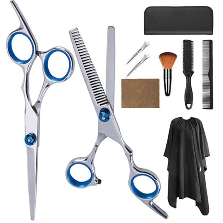 

Professional Hair Cutting Scissors Set 10PCS Hair Cutting Scissors Home Hair Cutting Kit, Silver&blue