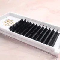 

0.10 mm D curl single trays Individual Eyelashes private label eyelashes classic eyelash extensions