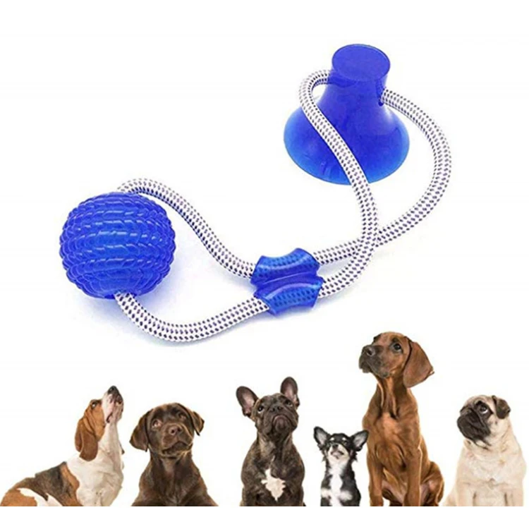 Multifunction custom cheap durable pet teeth cleaning cat ball toy interactive rubber chew dog toy ball with rope