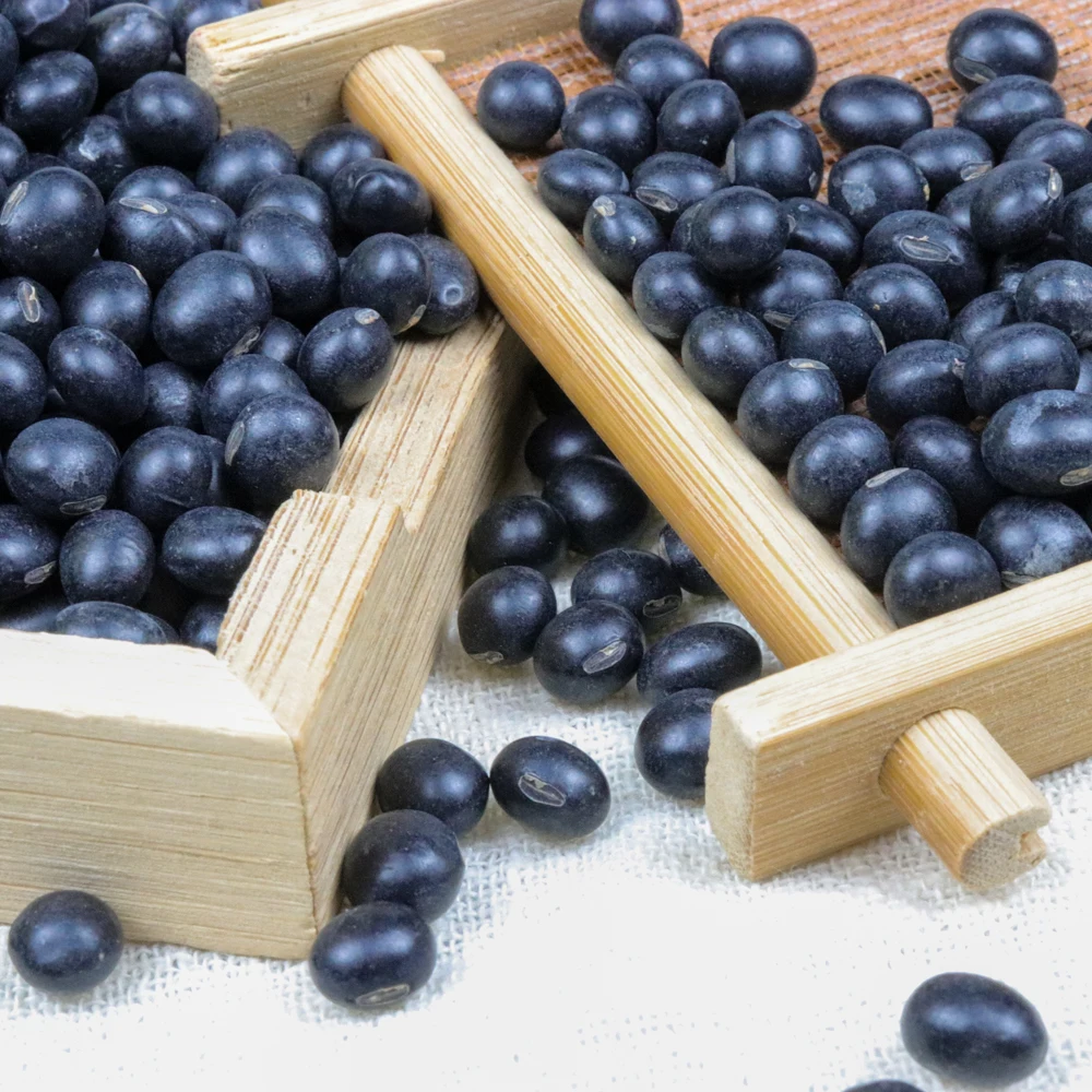
2020 New Crop Wholesale Bulk Black Soy Beans 