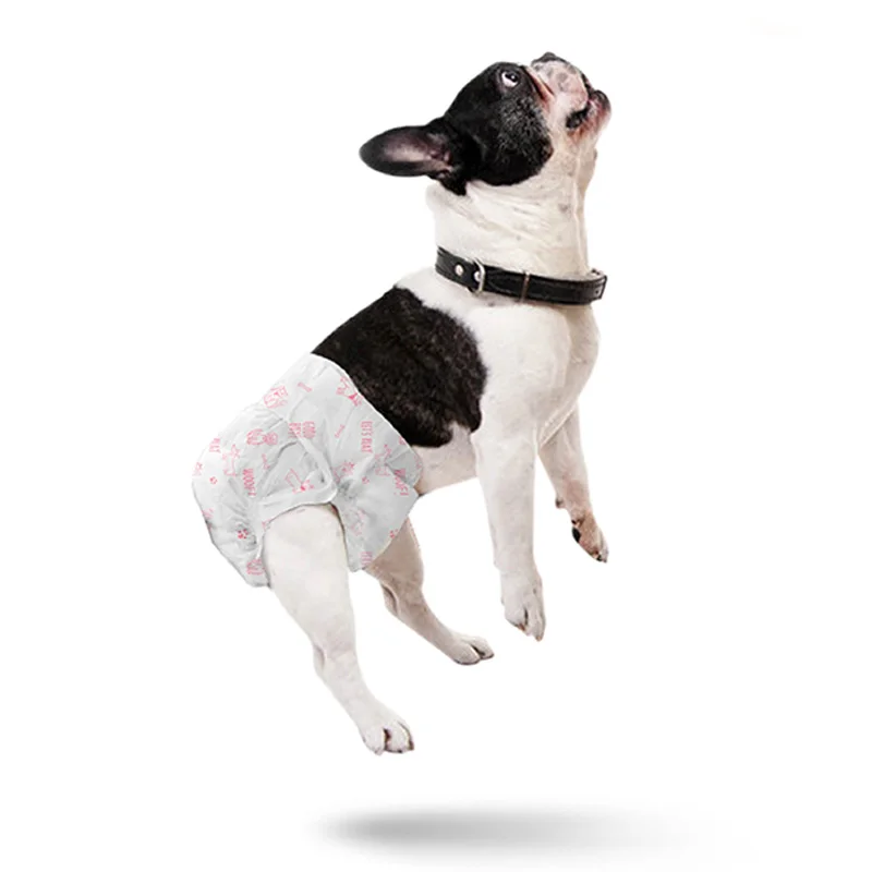 

New White Multiple Sizes Disposable Diapers Small Size Pets for Female Dog OEM service fraldas descartaveis