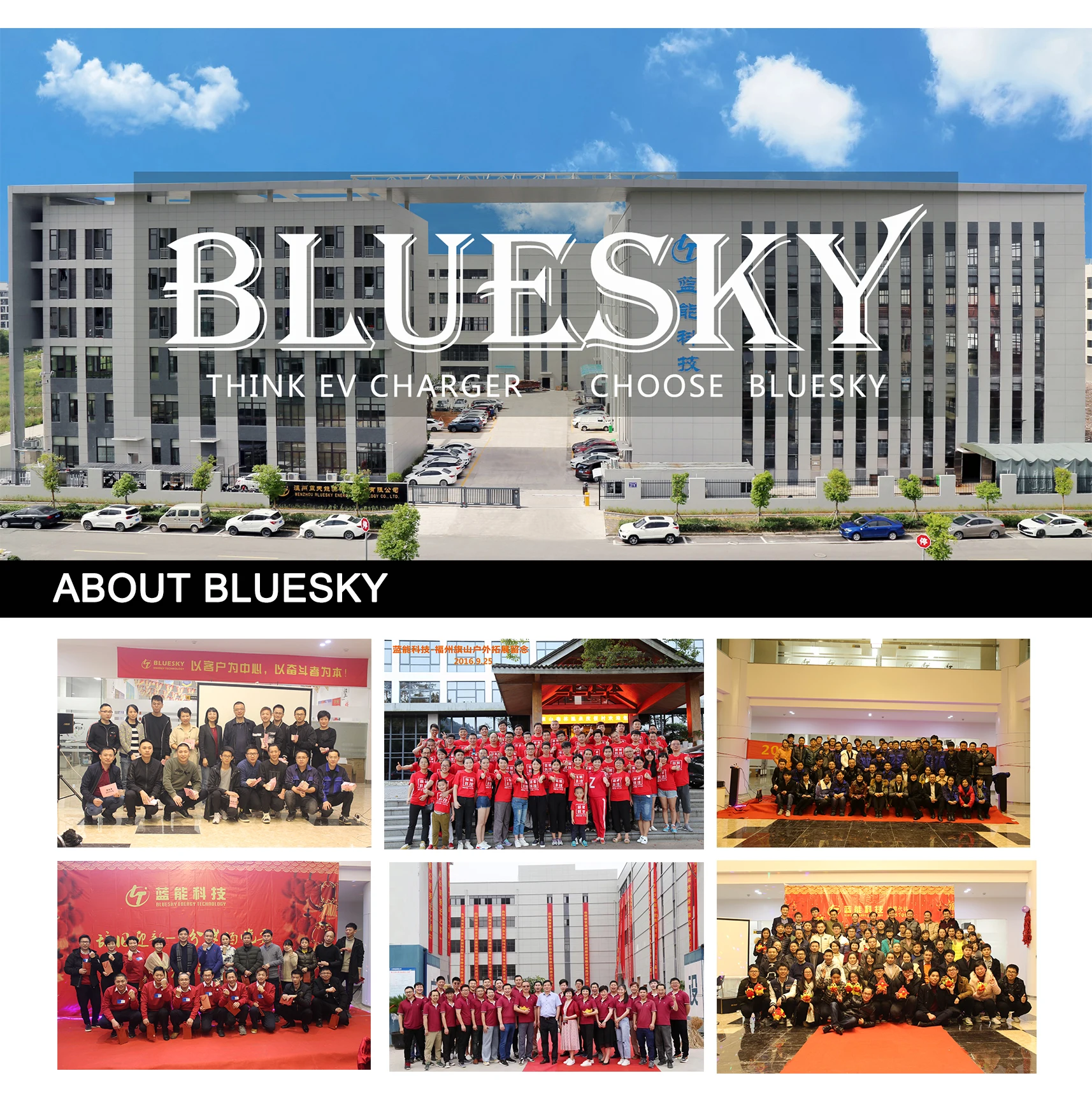 Our Company.jpg