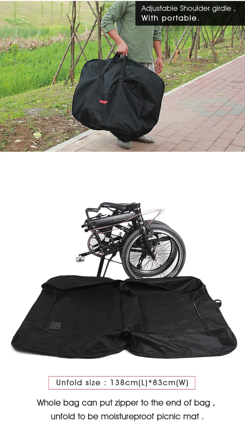 bike carrying bag