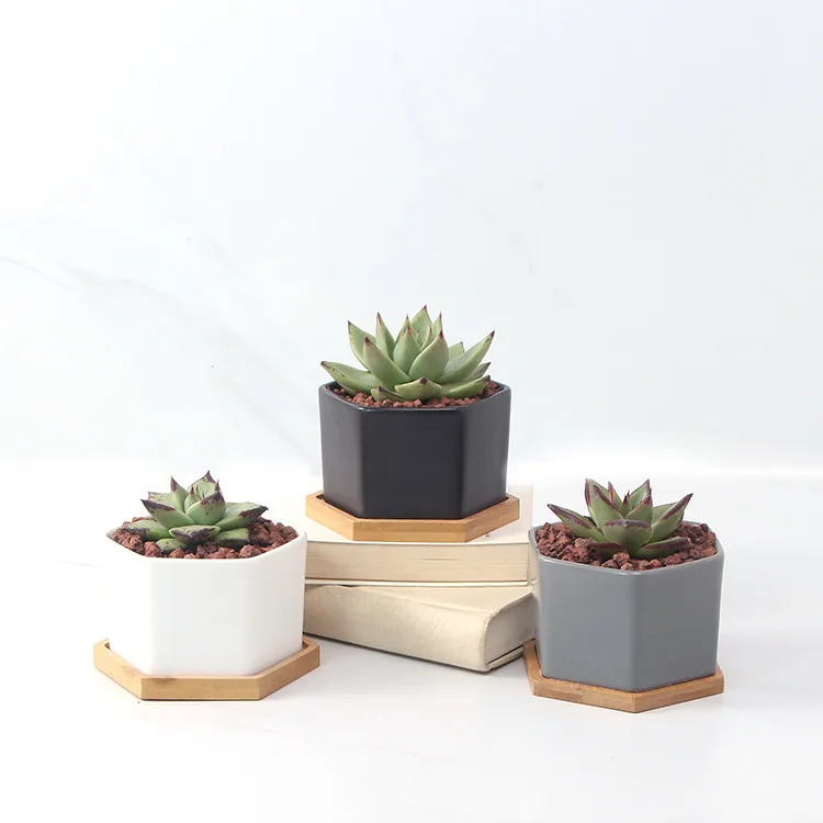 

Succulent Pots White Mini Ceramic Flower Planter Pot with Bamboo Tray pots for plants flower, Black/white/dark grey