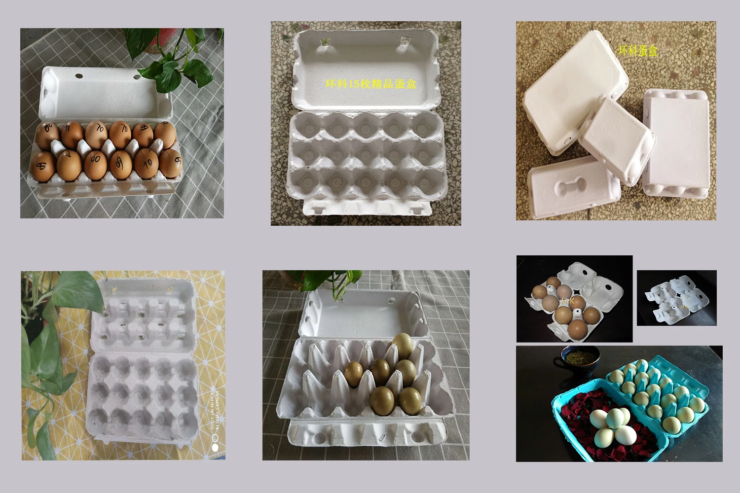 3 Cells Customer Plastic Egg Box Moulds For Egg Tray Molding Machine