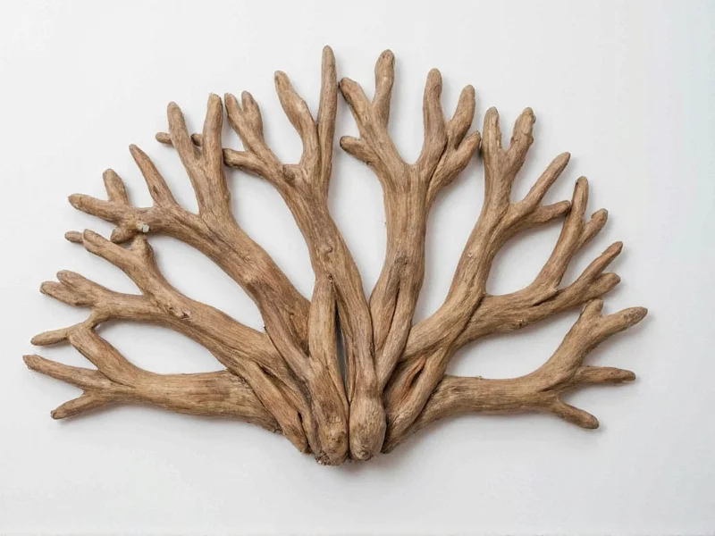 Natural driftwood pieces arranged into coral reef wall hanging