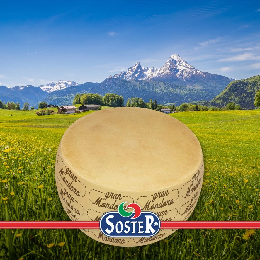 
Gran Mondoro wheel - lactose free cheese - vegetarian cheese 