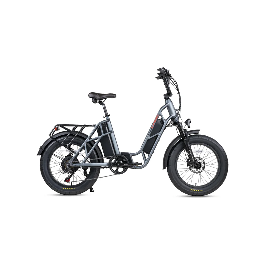

Manufacturers Direct Delivery Fastest 750W Dual Battery Electric Bicycle 20 Inch fat Tire E bike