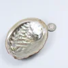 Wholesale hot selling natural abalone shells for soap box decoration