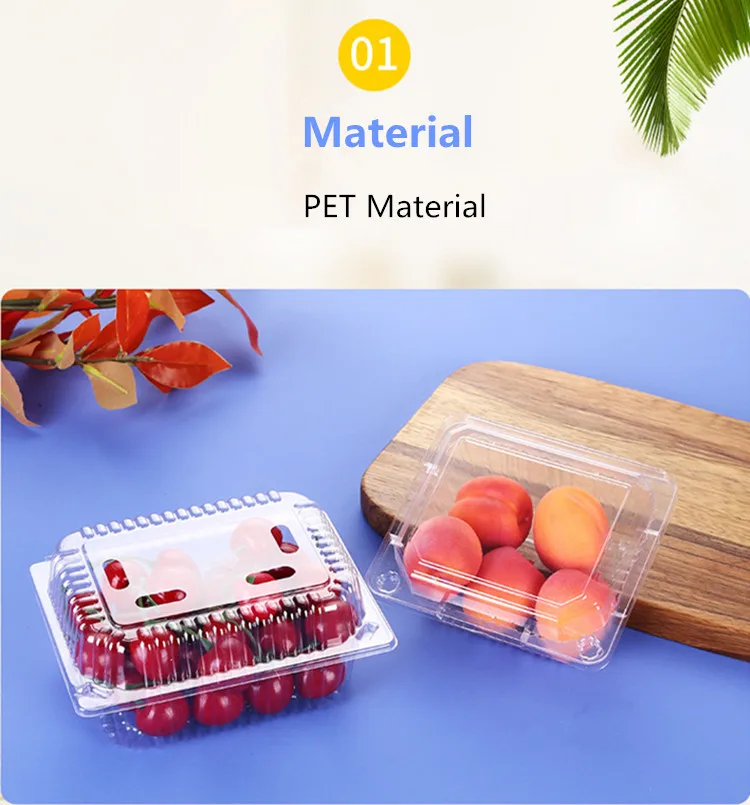 Clamshell Containers (15).jpg