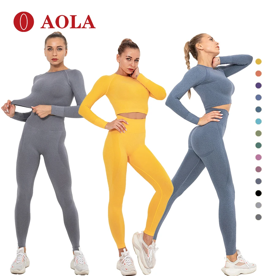 

AOLA 2021 Hot selling Nylon Bra Activewear Yoga Fitness Plus Size Clothes Seamless 2pcs Gym Leggings Sets, Picture shows