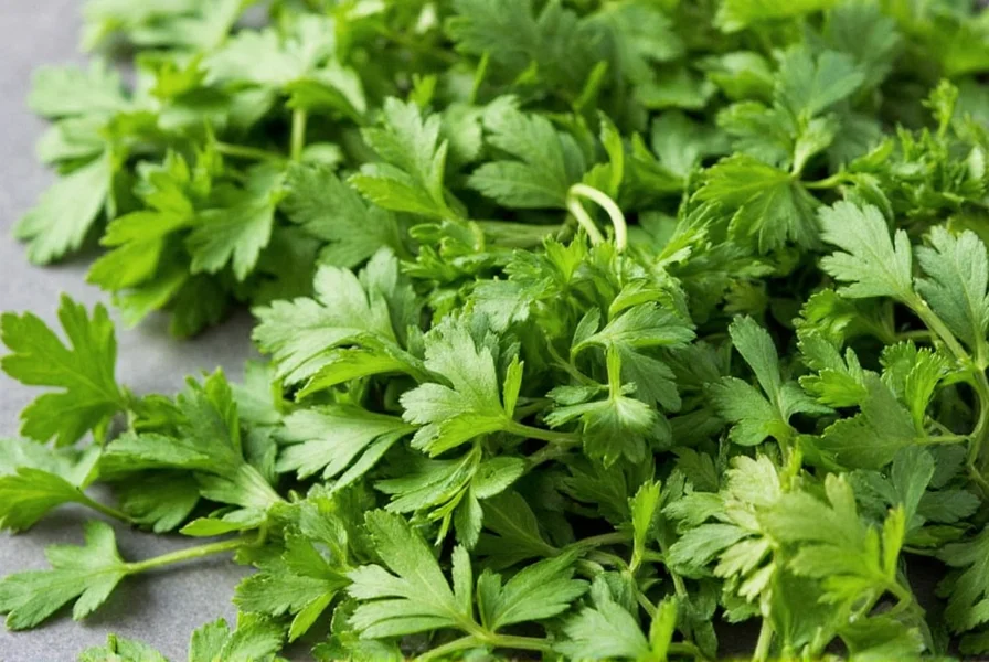 Flat leaf and curly parsley comparison
