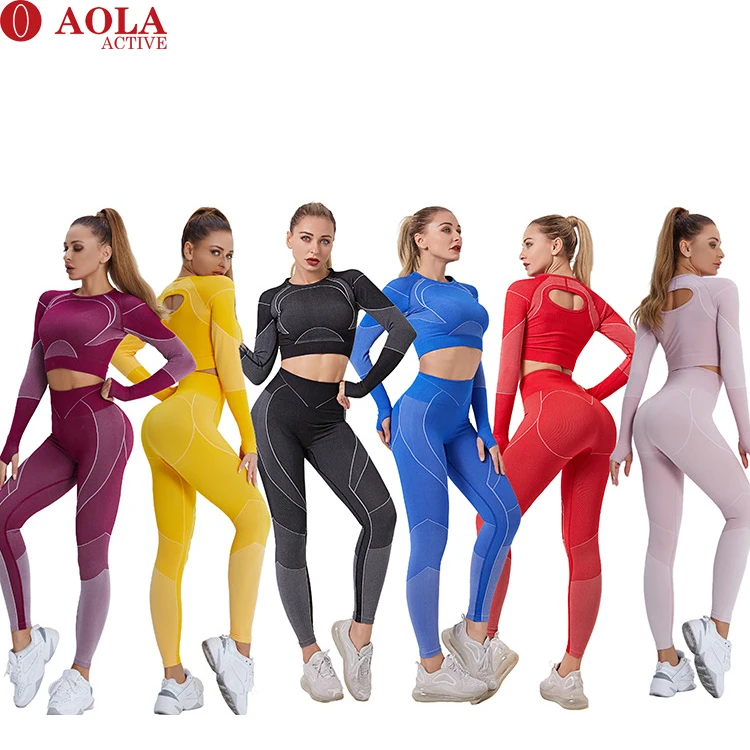 

AOLA Sportswear Ladies 2 Piece Set Women Workout Seamless Yoga Suit Legging Active Wear Set 2 Piece Gym Athletic Fitness Sets