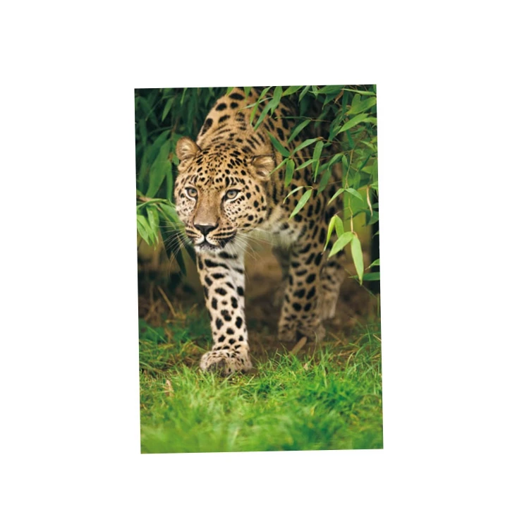 
big size wildlife 3d lenticular picture lion king 