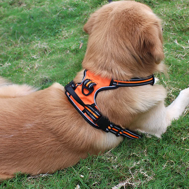 

Factory Price Spring And Summer Breathable Dog Leash Reflective Pet Harness And Leash, Picture showed