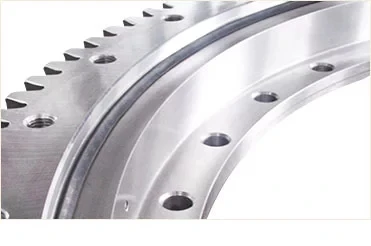 slewing rings2.webp.jpg