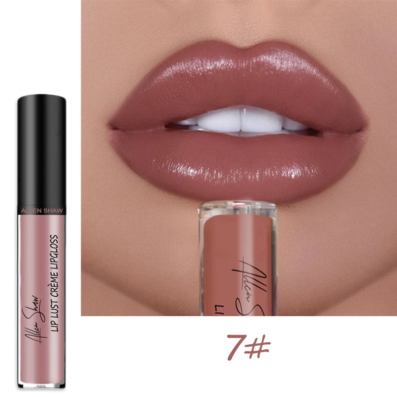 

lipstick and lip gloss waterproof lipgloss wholesale Customize logo organic natural moisture Lip plumper gloss private label