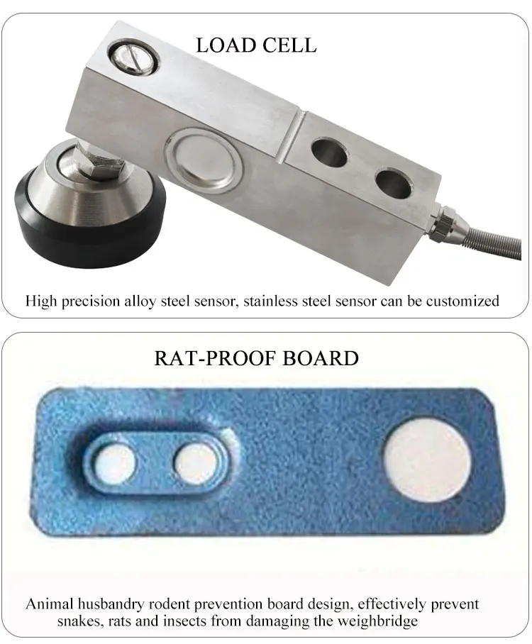 Cattle Scale 500kg Horse And Equine Weighing Scales Dog With Stainless