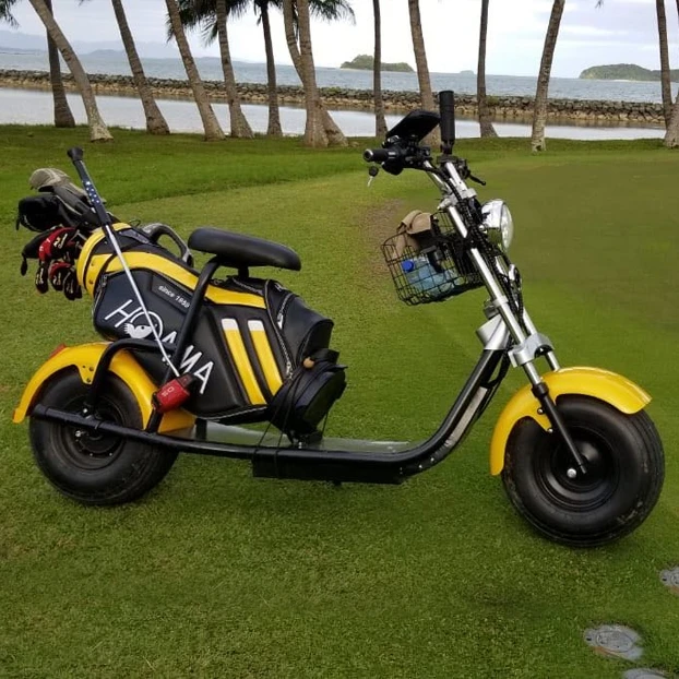 

2000W Power electric scooter citycoco off road golf cart 1500W with big wheels electric motorcycle scooter
