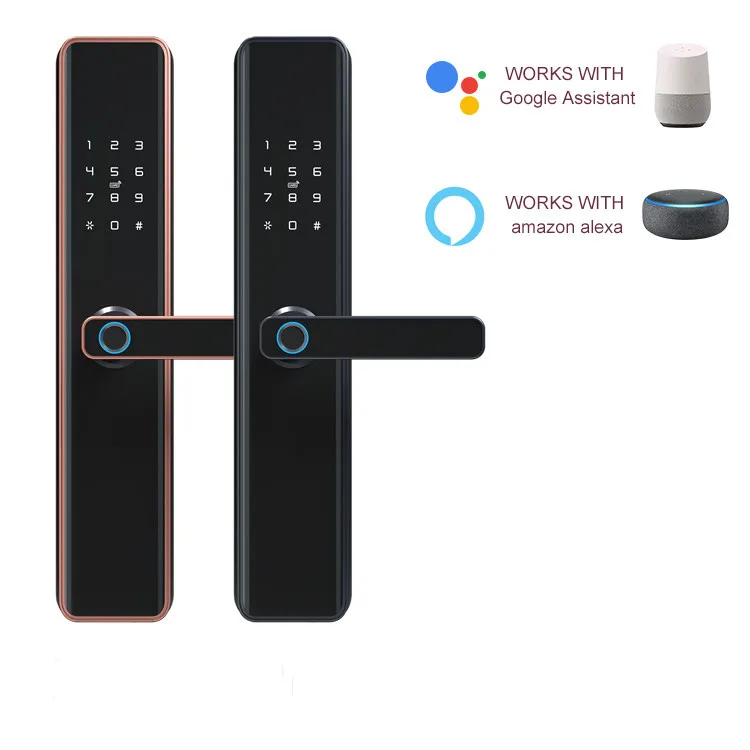 

Tuya Digital Keypad Door Lock Biometric Fingerprint Intelligent Digital Push Pull Smart Door Lock With Tt