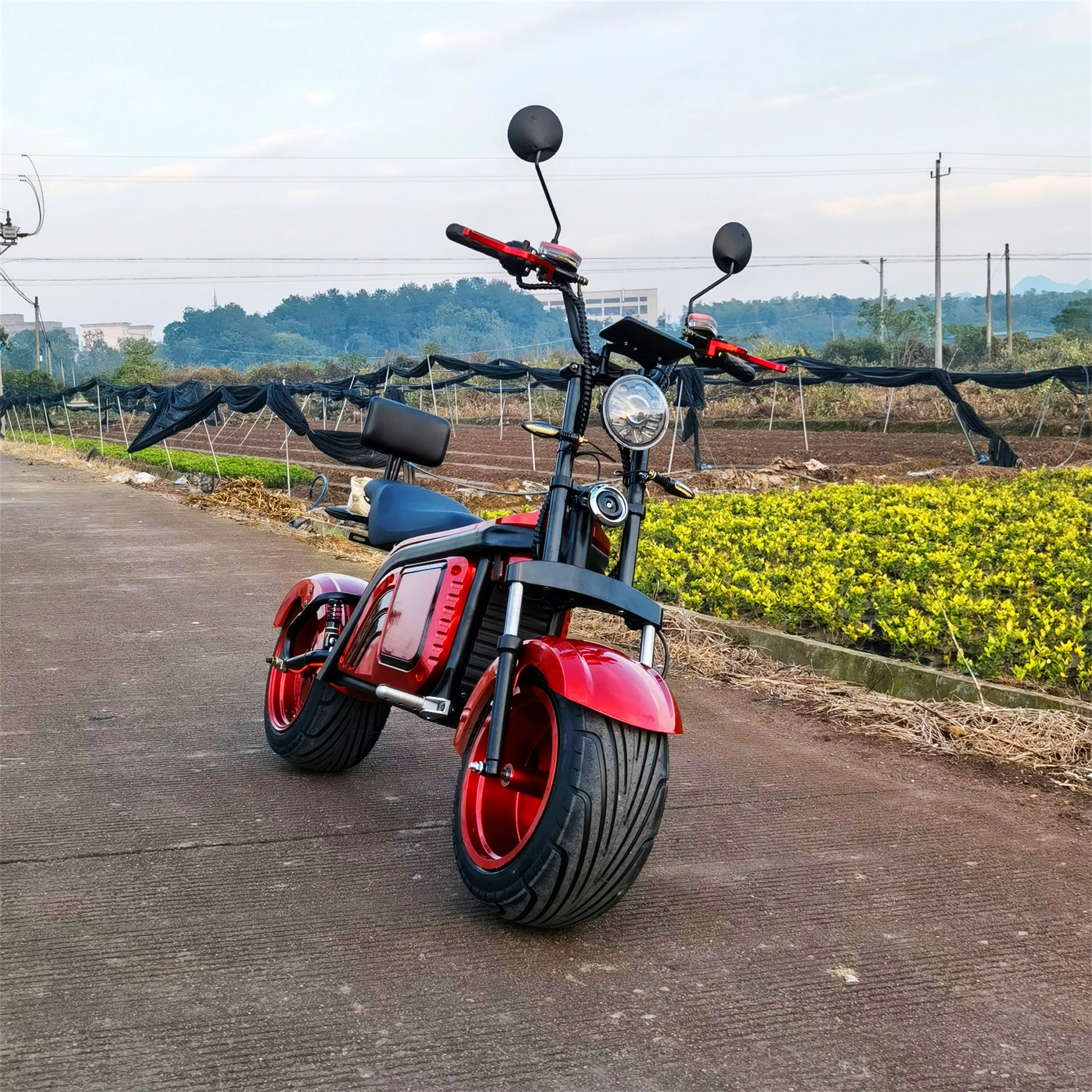 

Nice Cool Chopper Model CP-6 Double Battery Long Range Electric Scooters Citycoco