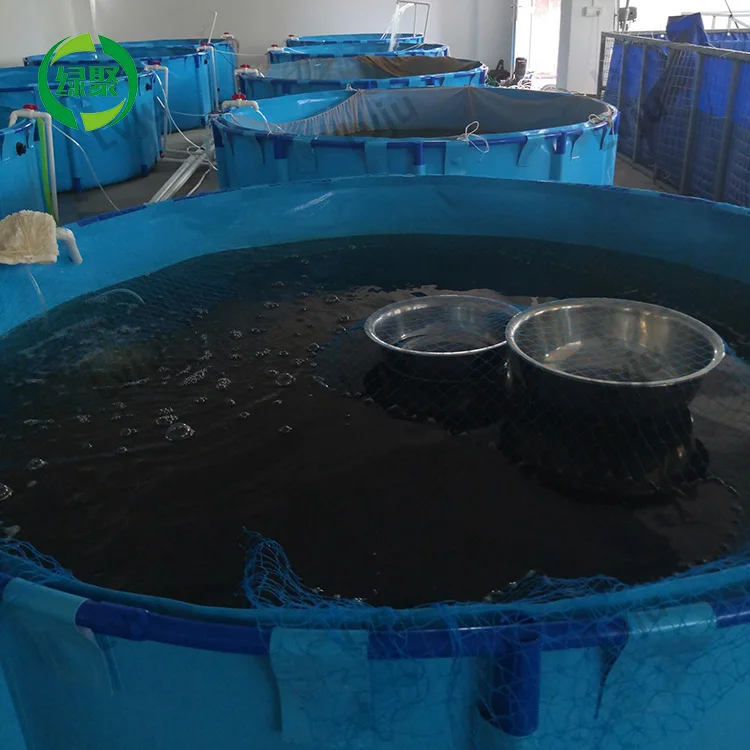 

10000 Litre Indoor Fish Farm Hatchery Circular Tank PVC Plastic Canvas RAS Shrimp Fish Rearing Tank For Cultivating, Blue/gray/custom