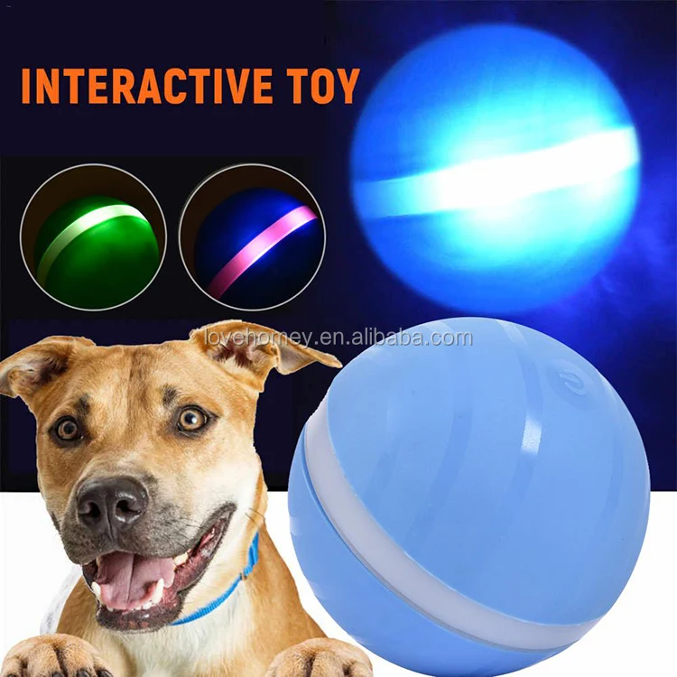 electric pet ball