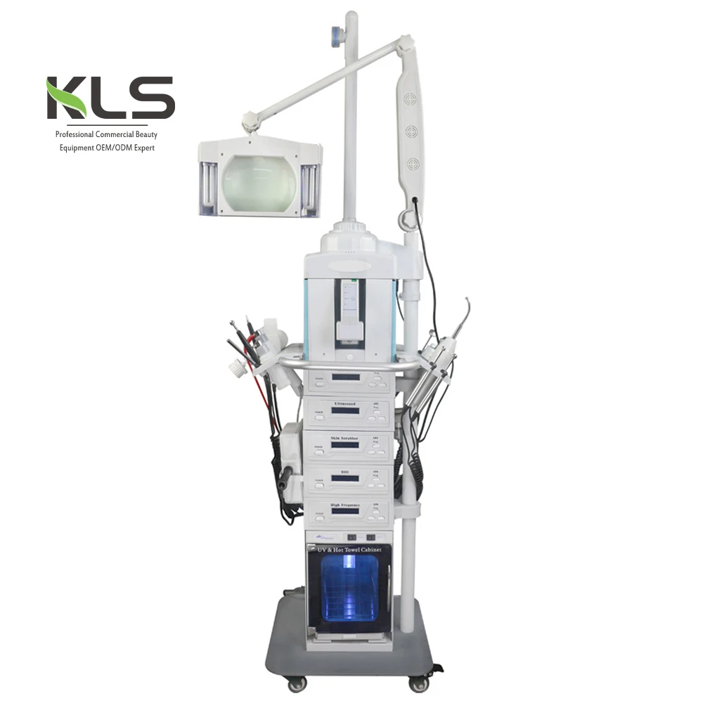 

2019 Top quality 19 in 1 multifunctional skin care beauty machine for salon, White+blue