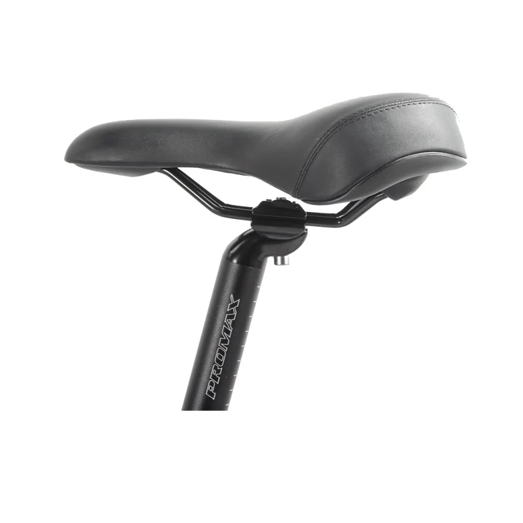motorlife 2020 新款 desgin low step women 使用电动自行车 20 "可