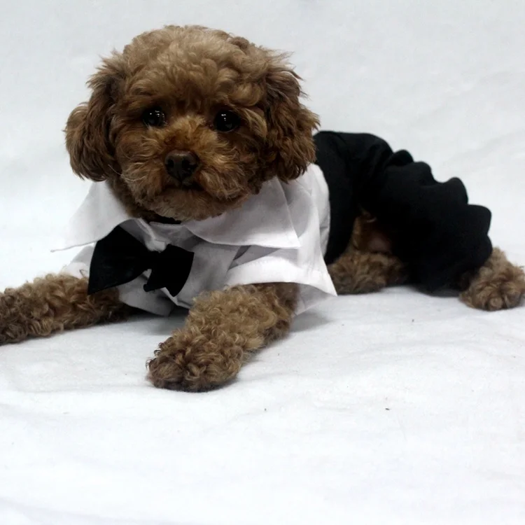 

US Fashionable Pet Clothing White Party Dog Shirt Seven Sizes Available Wedding Jumpsuit with Black Bow tie and Pockets, Picture