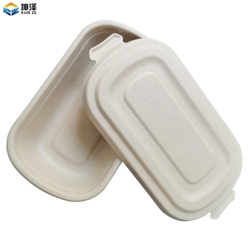 

Environmentally Friendly Materials Pollution-Free Compostable Biodegradable Bagasse Food Container Salad Bowl
