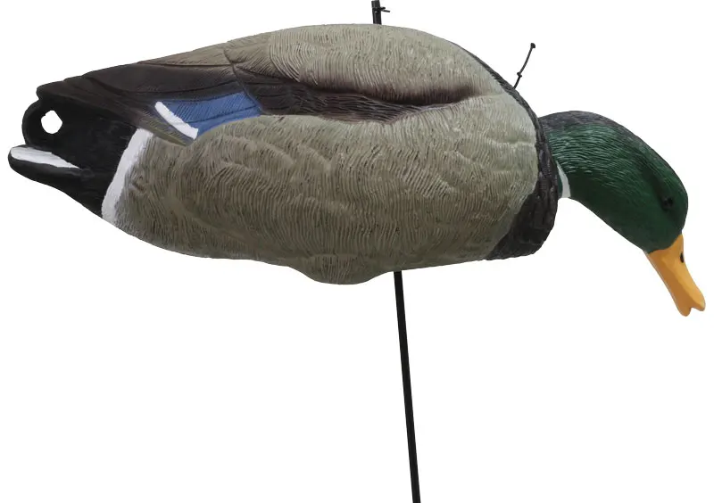 DK5674D-021.jpg
