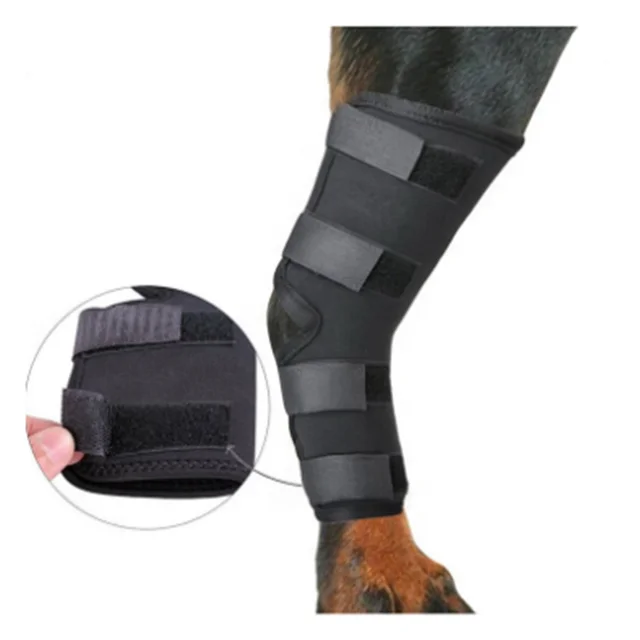 

Amazon Hot Selling Avoid Injuries Sport Procection Neoprene Dog Leg Sleeve Canine Knee Brace, Black or customized color