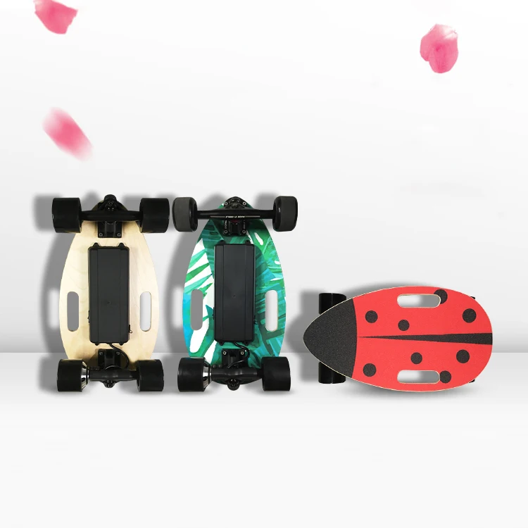 

Single Motor 4 Wheels Electric Skateboard With Remote Control for women